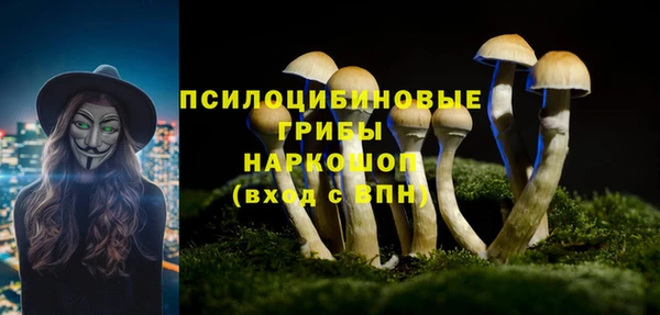 стаф Алзамай