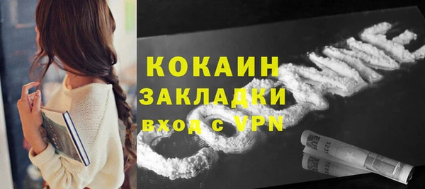 стаф Алзамай