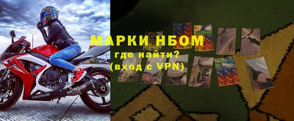 стаф Алзамай