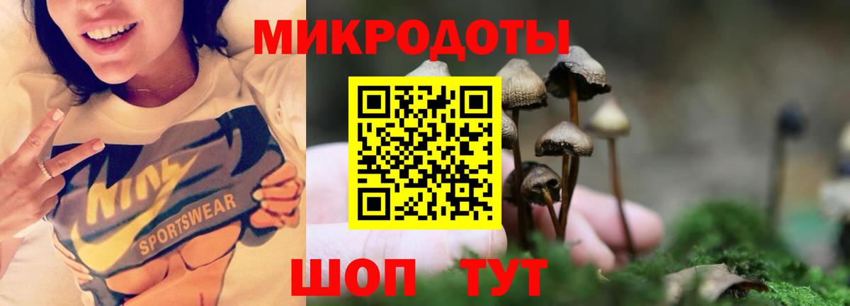 Галлюциногенные грибы Magic Shrooms  Вход с VPN  Усть-Кут  Галлюциногенные грибы мухоморы 